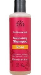 Rose Shampoo for Normal Hair, 250ml цена и информация | Шампуни | kaup24.ee