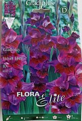 Gladioolid Velvet Eyes, 10 tk hind ja info | Lillesibulad | kaup24.ee