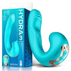 Вибратор Hydra Vibe с пульсацией и стимуляцией клитора, 3 моторчика, USB цена и информация | Вибраторы | kaup24.ee