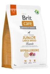 Brit Care Hypoallergenic Junior Large Breed Lamb koeratoit 3kg цена и информация | Сухой корм для собак | kaup24.ee