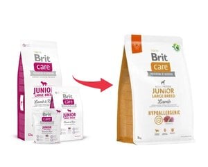 Brit Care Hypoallergenic для молодых собак крупных пород с бараниной, 3 кг цена и информация |  Сухой корм для собак | kaup24.ee