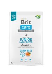 Brit Care Grain-free suurt tõugu noortele kutsikatele koos lõhega, 3 kg цена и информация | Сухой корм для собак | kaup24.ee