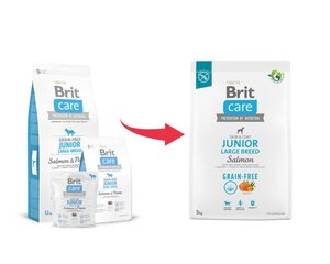 Brit Care Grain-free suurt tõugu noortele kutsikatele koos lõhega, 3 kg цена и информация | Сухой корм для собак | kaup24.ee