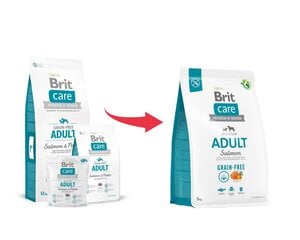 Brit Care Grain-free сухой корм для собак мелких и средних пород, 3 кг цена и информация |  Сухой корм для собак | kaup24.ee