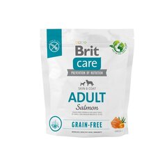 Brit Care Grain-Free Adult Salmon koeratoit 1kg hind ja info | Kuivtoit koertele | kaup24.ee