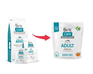 Brit Care Grain-free сухой корм для собак мелких и средних пород, 1 кг цена и информация |  Сухой корм для собак | kaup24.ee