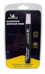 Toode kriimude eemaldamiseks Michelin Scratch repair pen, 4ml цена и информация | Автохимия | kaup24.ee