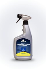 Klaasipuhastusvaht Michelin, 650ml hind ja info | Autokeemia | kaup24.ee