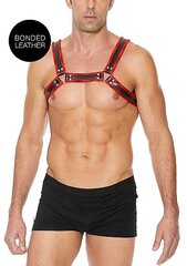 Nahast rihmad koos pandlaga - L/XL, punane hind ja info | BDSM ja fetish | kaup24.ee