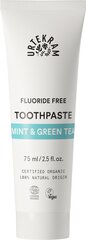  Зубная паста с мятой и зеленым чаем, 75 мл цена и информация | Для ухода за зубами | kaup24.ee
