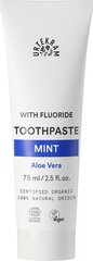 Toothpaste with Aloe Vera and Mint, 75ml цена и информация | Для ухода за зубами | kaup24.ee