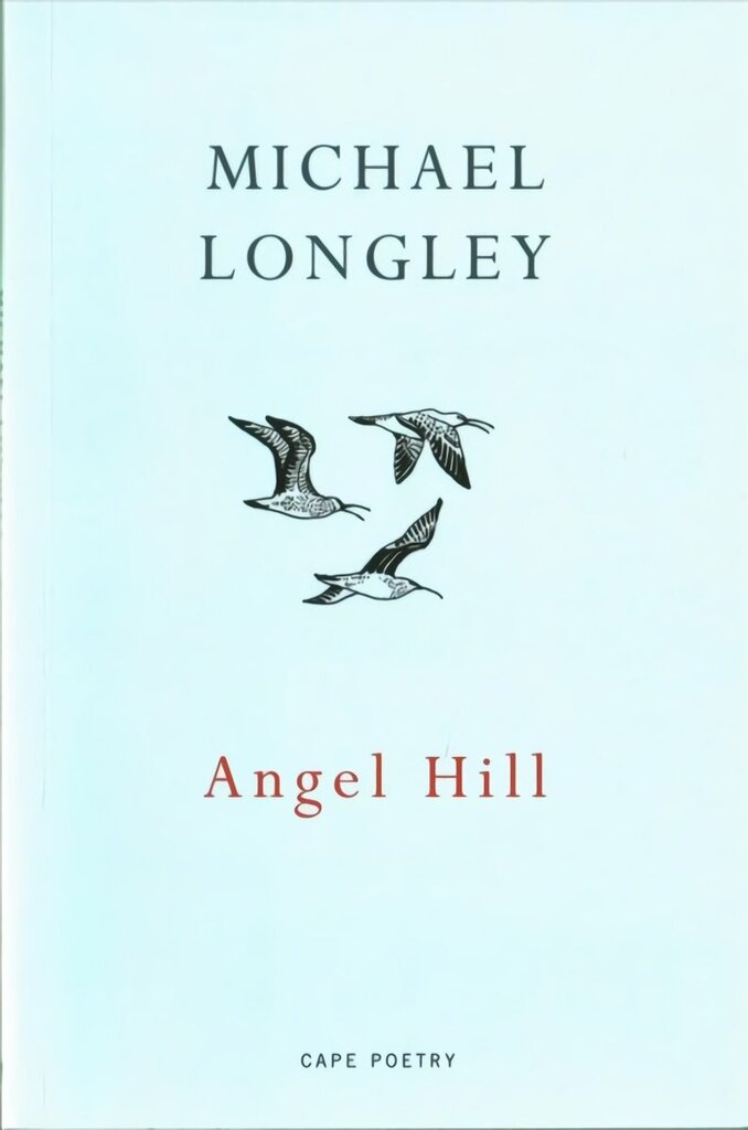 Angel Hill hind ja info | Luule | kaup24.ee