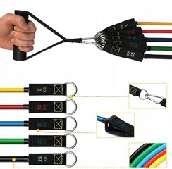 Treeningkummite komplekt цена и информация | Фитнес-резинки, гимнастические кольца | kaup24.ee