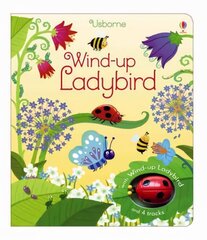 Wind-up Ladybird New edition цена и информация | Книги для малышей | kaup24.ee