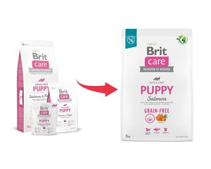 BritCare Grain-free kuivtoit igat tõugu kutsikatele ja noortele koertele, 3 kg hind ja info | Kuivtoit koertele | kaup24.ee