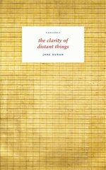 clarity of distant things hind ja info | Luule | kaup24.ee