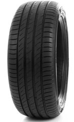 Delinte DS2 195/50R16 88 V XL цена и информация | Летняя резина | kaup24.ee