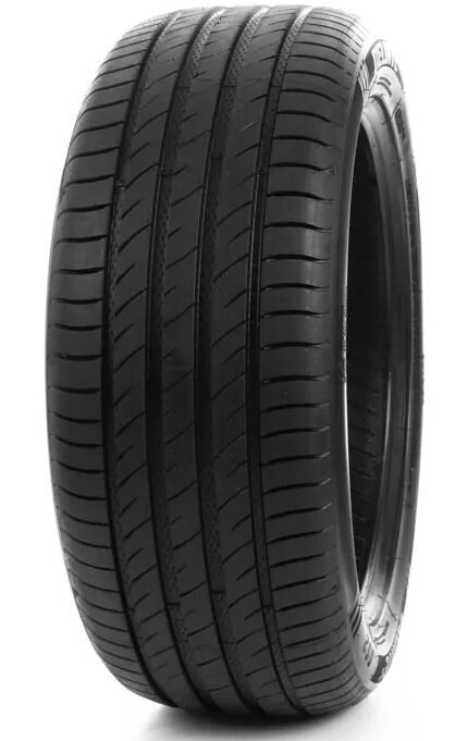 Delinte DS2 195/50R16 88 V XL цена и информация | Suverehvid | kaup24.ee