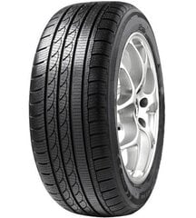 Tracmax S210 205/45R17 88 V XL цена и информация | Зимняя резина | kaup24.ee