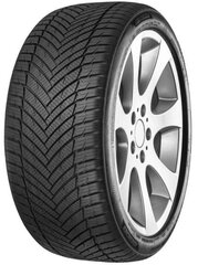 Minerva AS Master 245/45R17 99 W XL цена и информация | Всесезонная резина | kaup24.ee