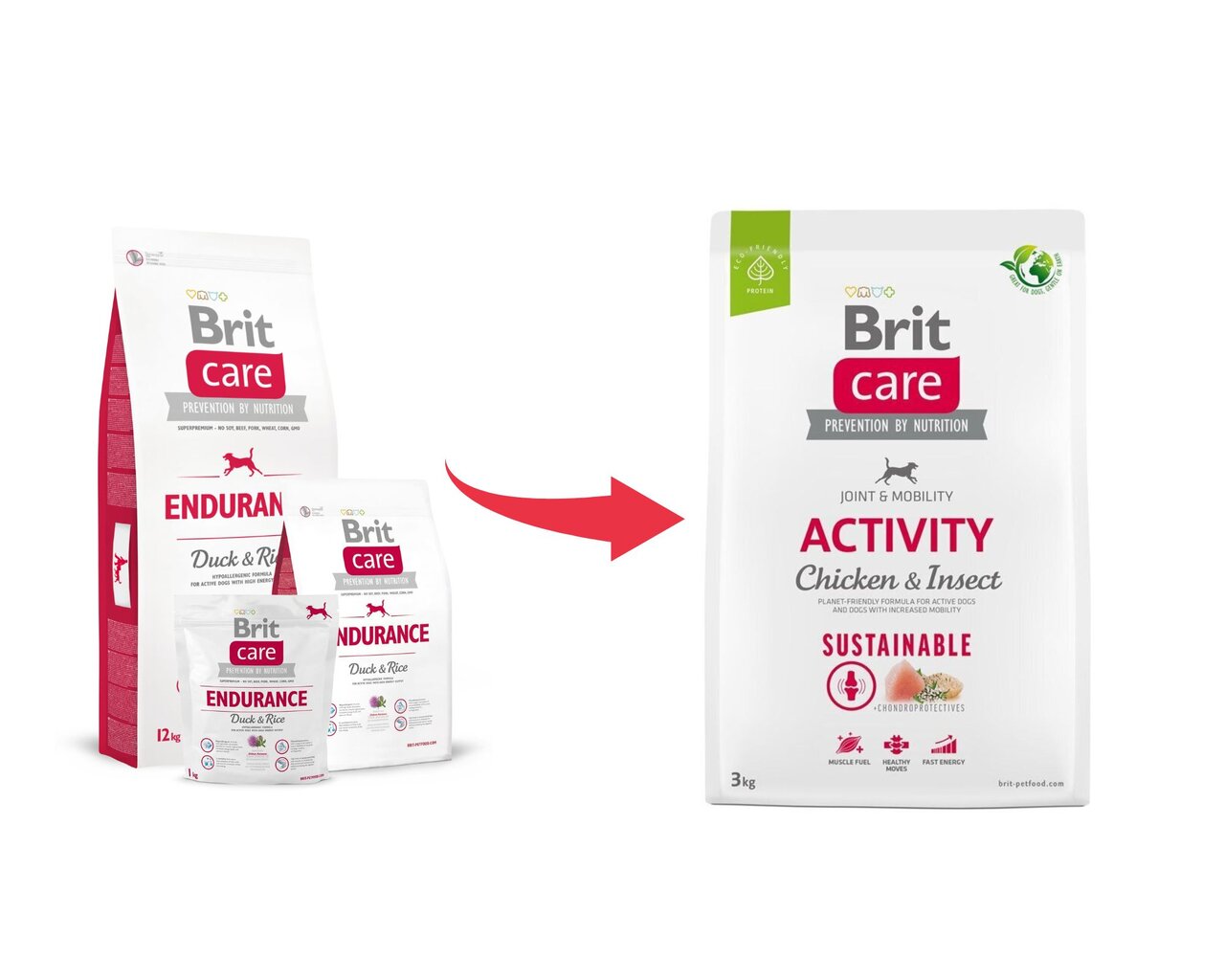 Brit Care Sustainable Activity Chicken&Insect koeratoit 3kg цена и информация | Kuivtoit koertele | kaup24.ee