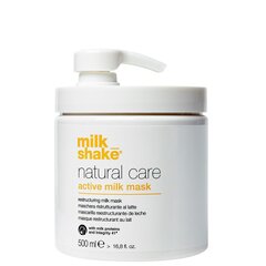 Маска для сухих и поврежденных волос Milk Shake Active Milk 500 мл цена и информация | Маски, масла, сыворотки | kaup24.ee