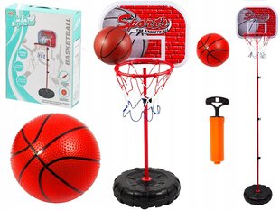 Баскетбольный мяч до 171 см цена и информация | Развивающие игрушки | kaup24.ee