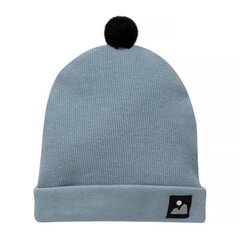 шапка зима 2022 синяя цена и информация | Шапки, перчатки, шарфы для мальчиков | kaup24.ee