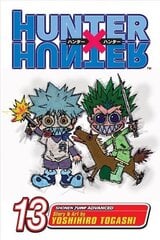 Hunter x Hunter, Vol. 13: September 10th illustrated edition, Volume 13 hind ja info | Fantaasia, müstika | kaup24.ee