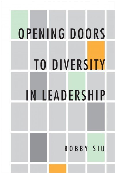 Opening Doors to Diversity in Leadership hind ja info | Majandusalased raamatud | kaup24.ee