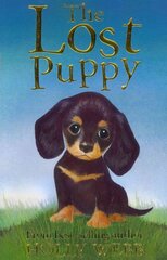 Lost Puppy цена и информация | Книги для подростков и молодежи | kaup24.ee