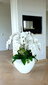 Klaaskiust lillepott Fiberglass 55 x 28 x 35(H) cm, valge hind ja info | Dekoratiivsed lillepotid | kaup24.ee