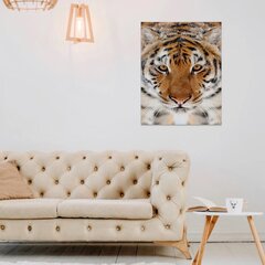 Bengali tiigri seinatrükk lõuend Loomade lõuend Sisekujundus - 78 x 50 cm hind ja info | Seinakleebised | kaup24.ee