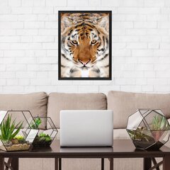 Bengali tiigri seinaplakat loomaplakati sisekujundus - 78 x 50 cm hind ja info | Seinakleebised | kaup24.ee
