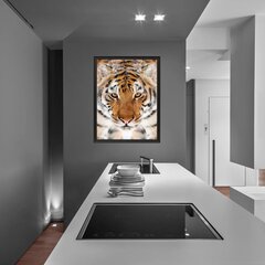 Bengali tiigri seinaplakat loomaplakati sisekujundus - 78 x 50 cm hind ja info | Seinakleebised | kaup24.ee