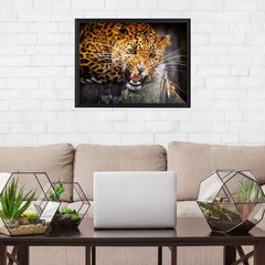 Metsik Leopard Seinaplakat Loomade plakat Sisekujundus - 78 x 50 cm hind ja info | Seinakleebised | kaup24.ee