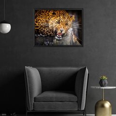 Metsik Leopard Seinaplakat Loomade plakat Sisekujundus - 78 x 50 cm hind ja info | Seinakleebised | kaup24.ee