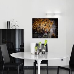 Wild Leopard Seinaprint Lõuend Animal Canvas Sisekujundus - 78 x 50 cm hind ja info | Seinakleebised | kaup24.ee