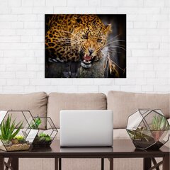 Печатный холст на стену с диким леопардом Холст с животным Декор интерьера - 78 х 50 см цена и информация | Декоративные наклейки | kaup24.ee