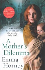 Mother's Dilemma цена и информация | Фантастика, фэнтези | kaup24.ee