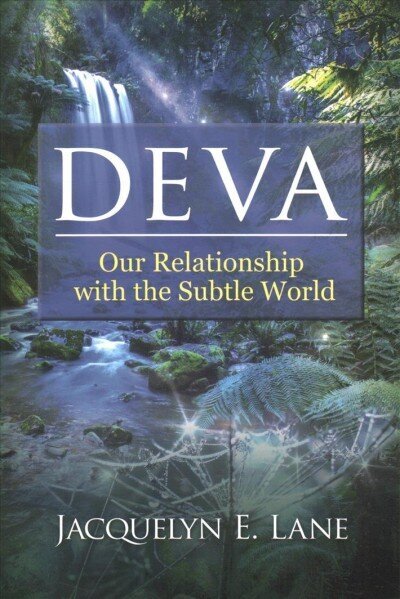 Deva: Our Relationship with the Subtle World цена и информация | Eneseabiraamatud | kaup24.ee