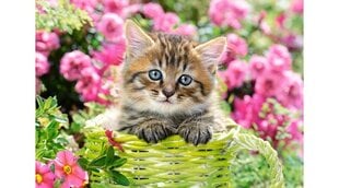 Pusle Castorland Kitten in Flower Garden, 500-osaline hind ja info | Pusled | kaup24.ee