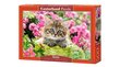 Pusle Castorland Kitten in Flower Garden, 500-osaline цена и информация | Pusled | kaup24.ee