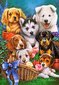 Pusle Castorland Puppies, 1000-osaline цена и информация | Pusled | kaup24.ee