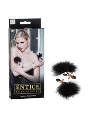 Nibuklambrid Feather Nipplettes hind ja info | BDSM ja fetish | kaup24.ee