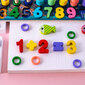 Hariv ja arendav mäng Montessori pusle/sobituslaud; Montessori matching board CSDW-011, 95 tk hind ja info | Tüdrukute mänguasjad | kaup24.ee