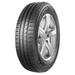 TracMax X-Privilo TX2 185/50R16 81 V цена и информация | Летняя резина | kaup24.ee