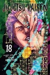 Jujutsu Kaisen, Vol. 18: Volume 18 цена и информация | Фантастика, фэнтези | kaup24.ee