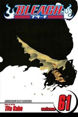 Bleach, Vol. 61: The Last 9 Days, 61 hind ja info | Fantaasia, müstika | kaup24.ee