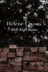 Well-Kept Ruins цена и информация | Исторические книги | kaup24.ee